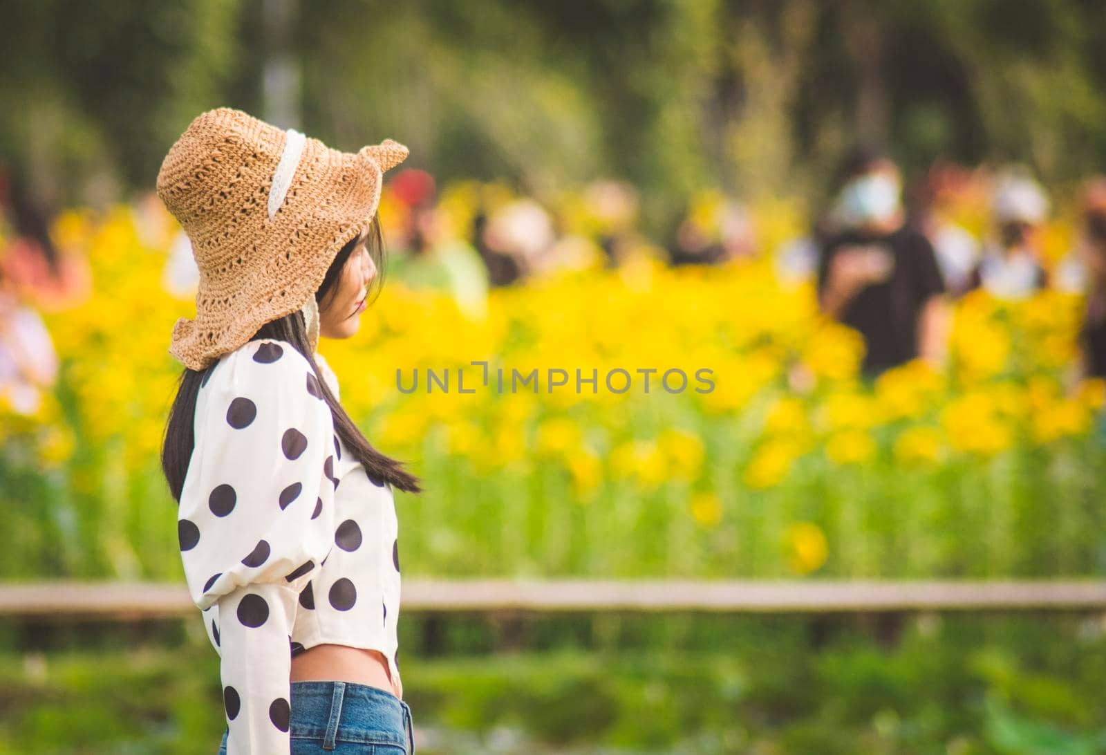 December 2020 Bangkok Thailand croed in sun flowers field Vachirabenjatas Park Bangkok Thailand