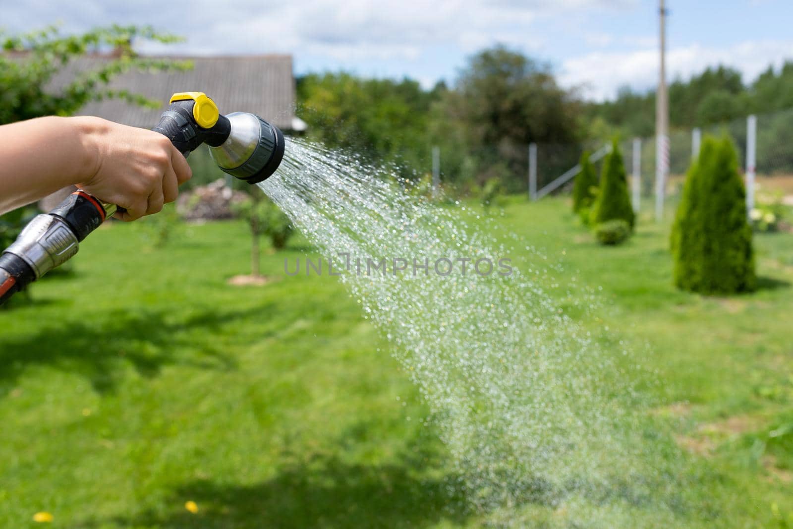 garden hose with a sprayer pours water on the lawn.