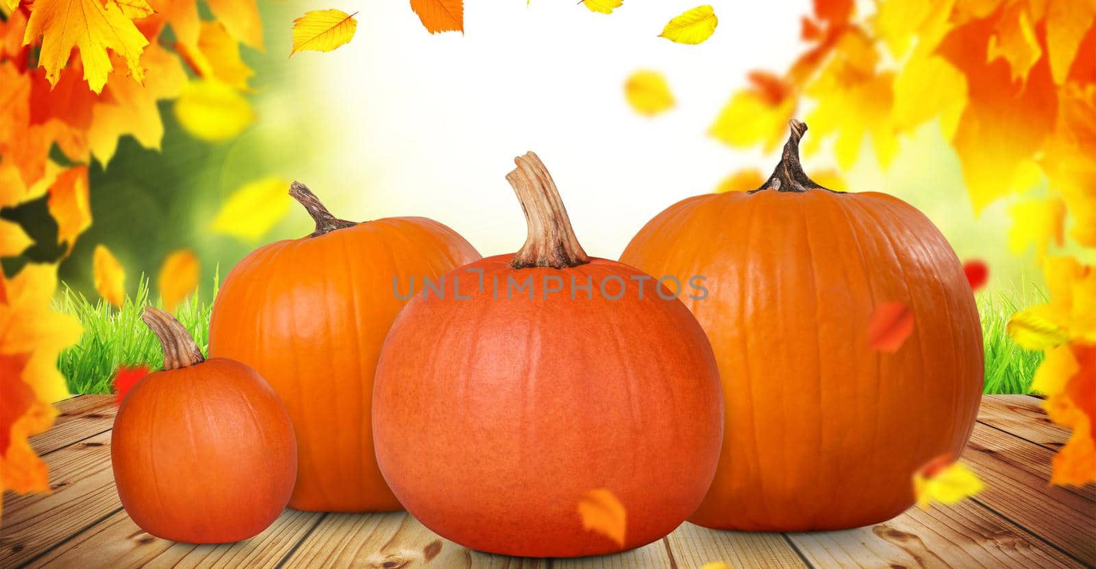 Close up view of fresh pumpkin at wooden background by Taut