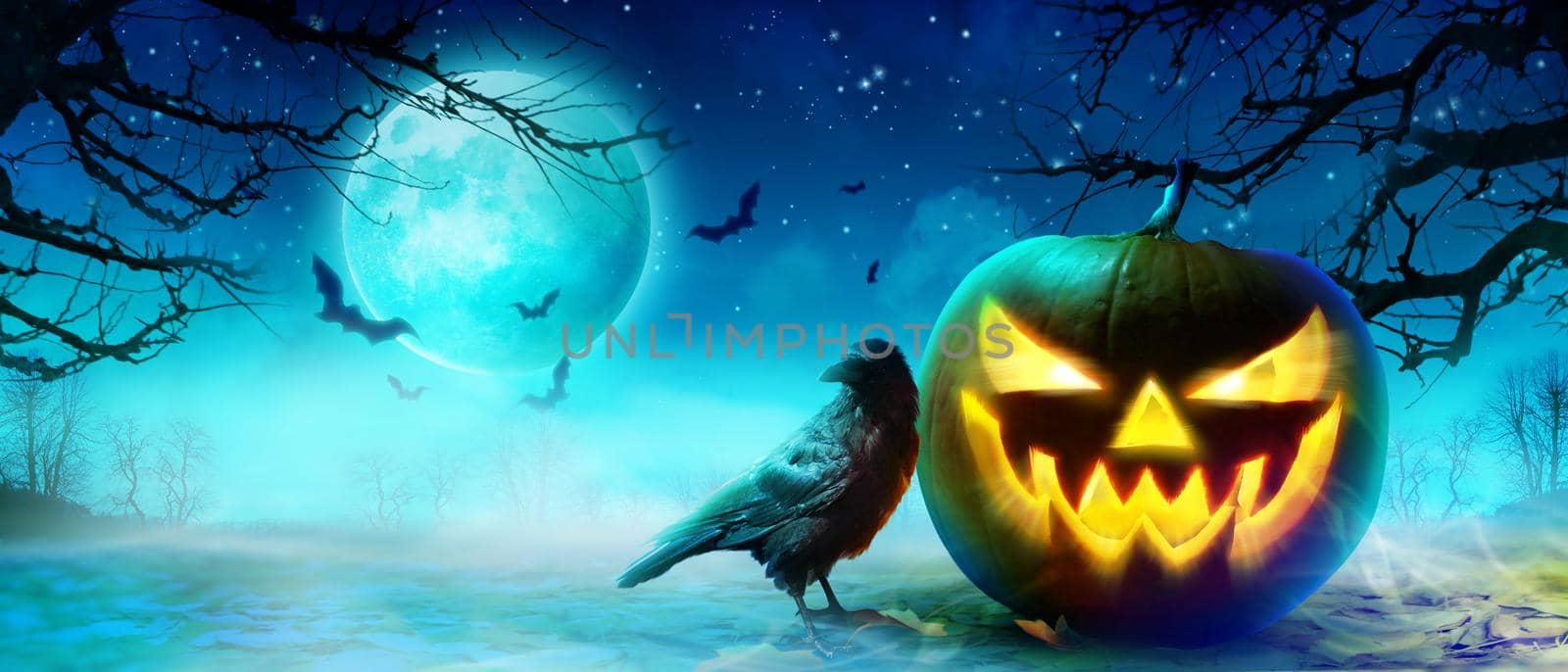 Halloween background with raven in a spooky night.