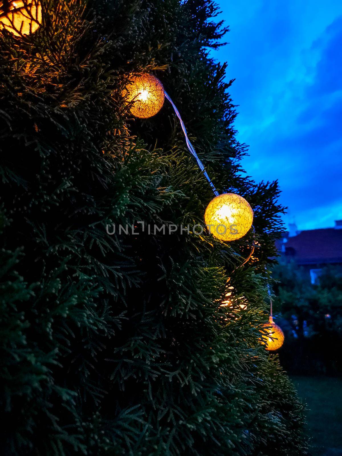 Small glowing light balls hanging on a tree by Wierzchu