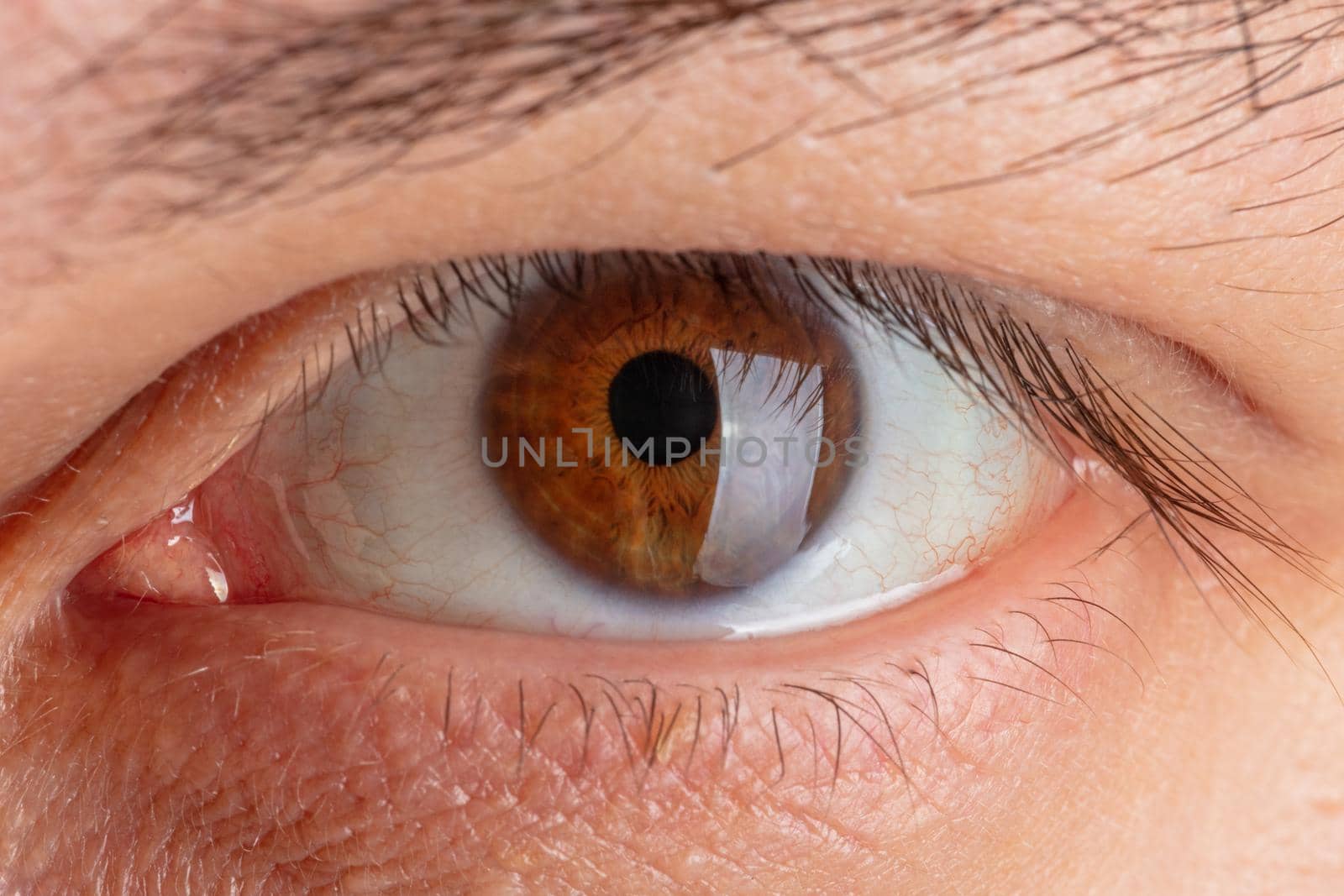 human eye close up.