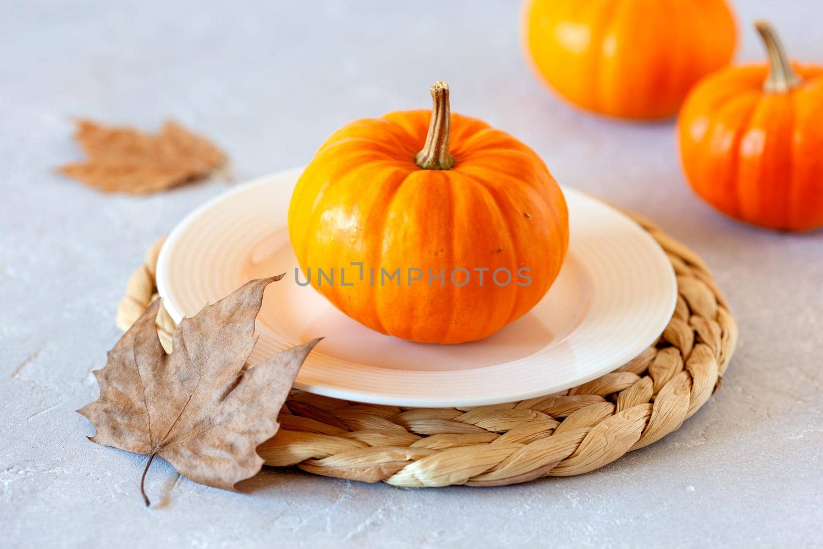 autumn composition with mini pumpkins and fallen leaves, side view