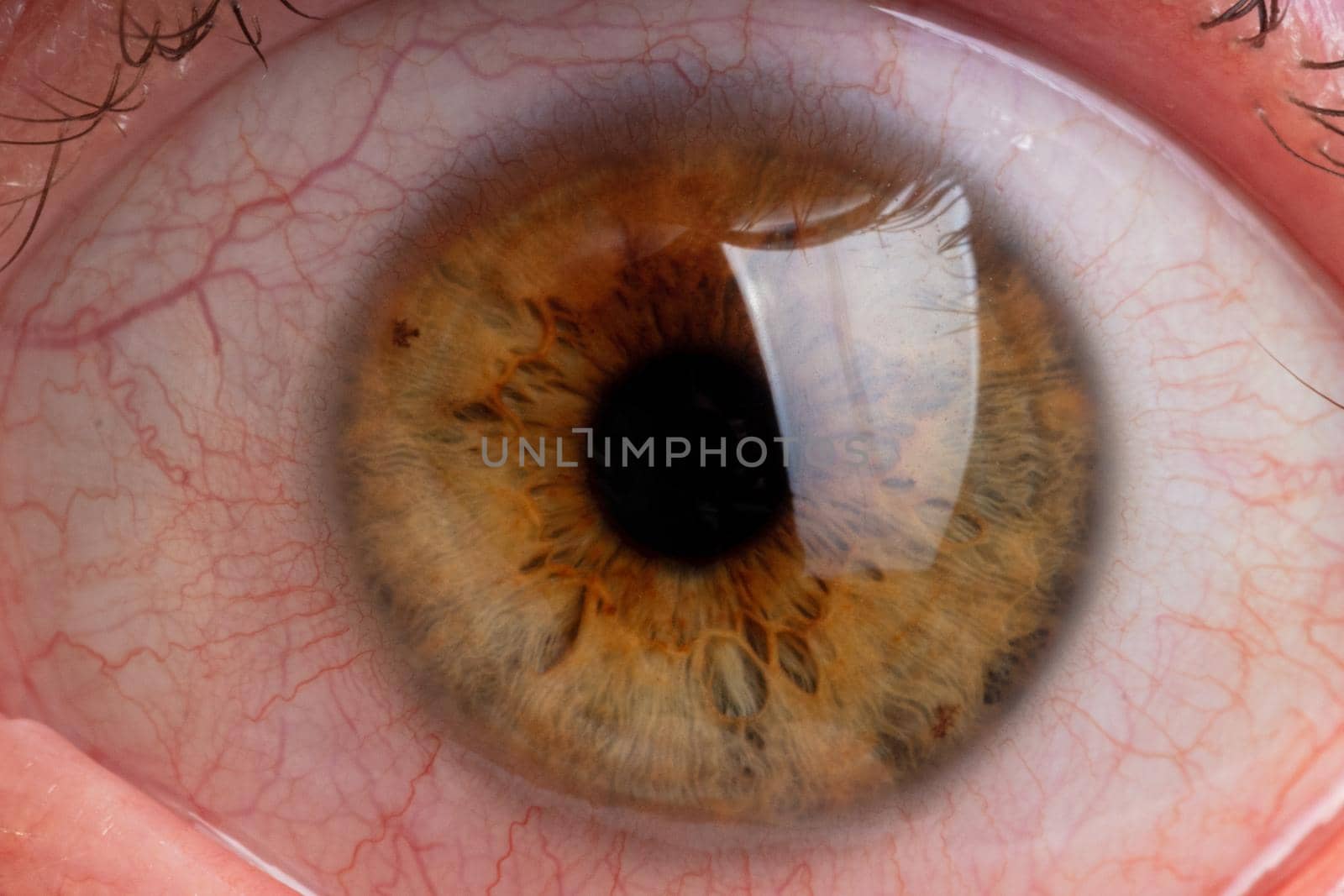human pupil close up.