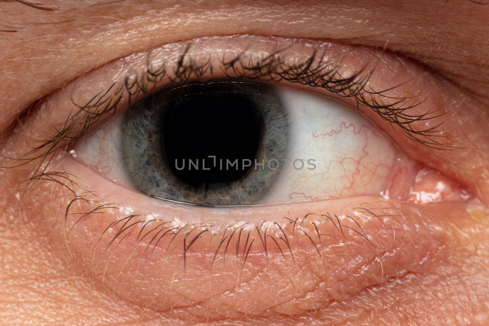 human eye close up.