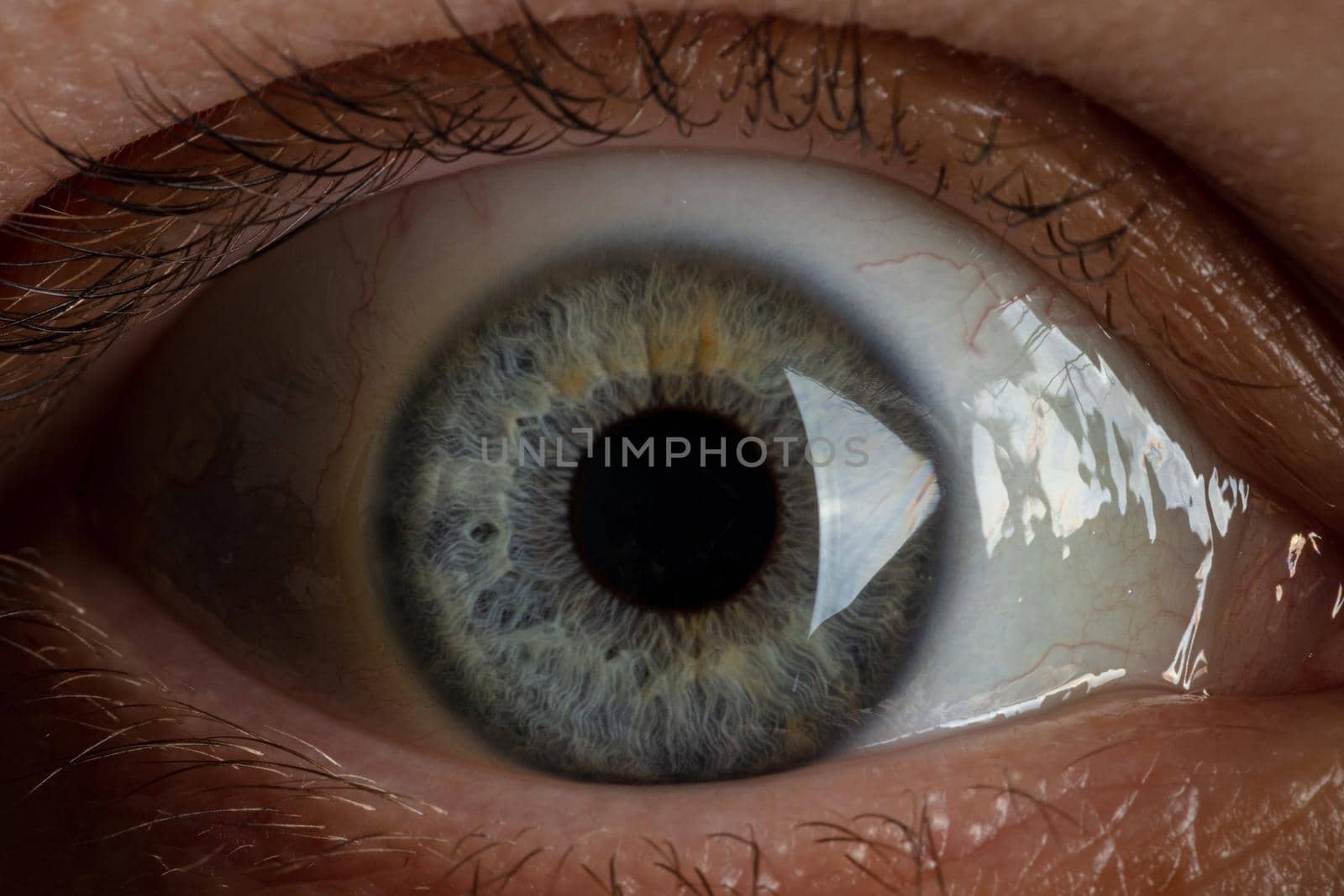 blue pupil on the eye close-up.