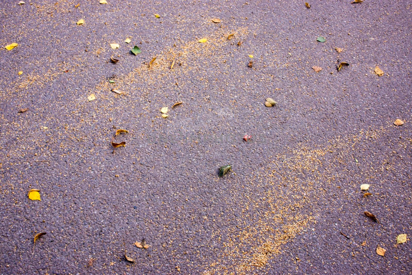 autumn yellow leaves on the surface kmenistoy by kajasja