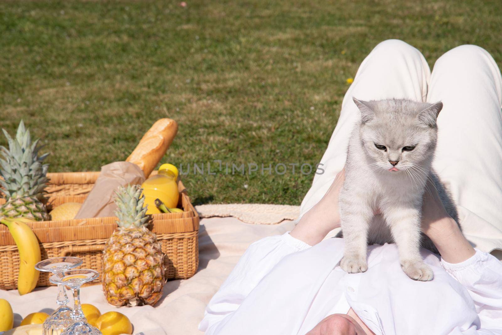 a young woman in a white shirt is resting on a picnic with her pet kitten, rest from worries and household chores, parks and recreation areas,. High quality photo