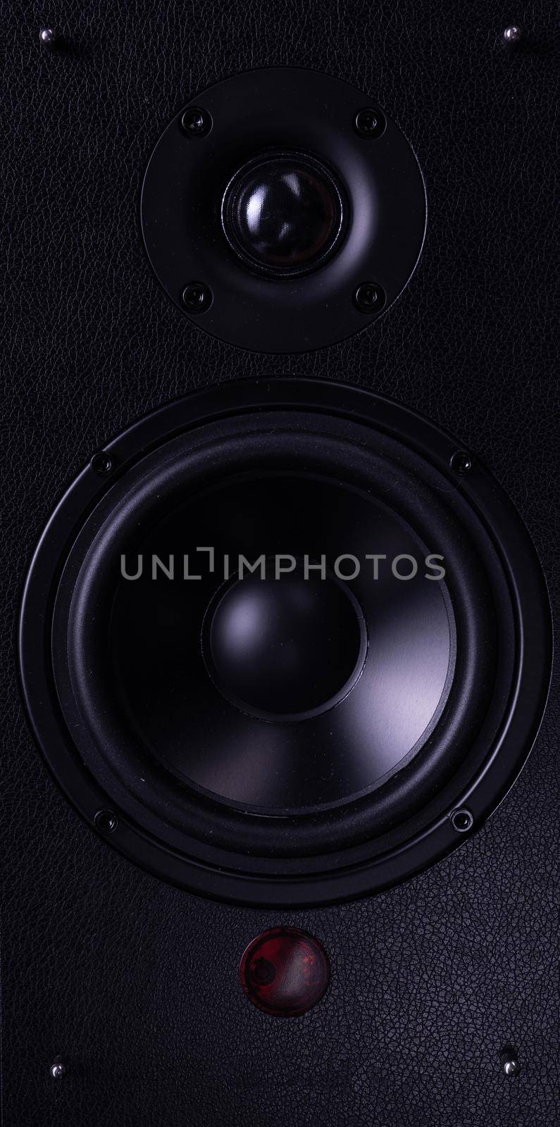professional speaker for reproducing hi-fi music up-close with two speakers.