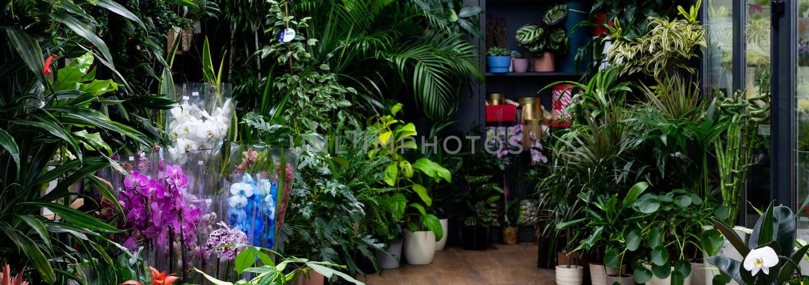 florist shop window with potted natural plants and fresh flowers