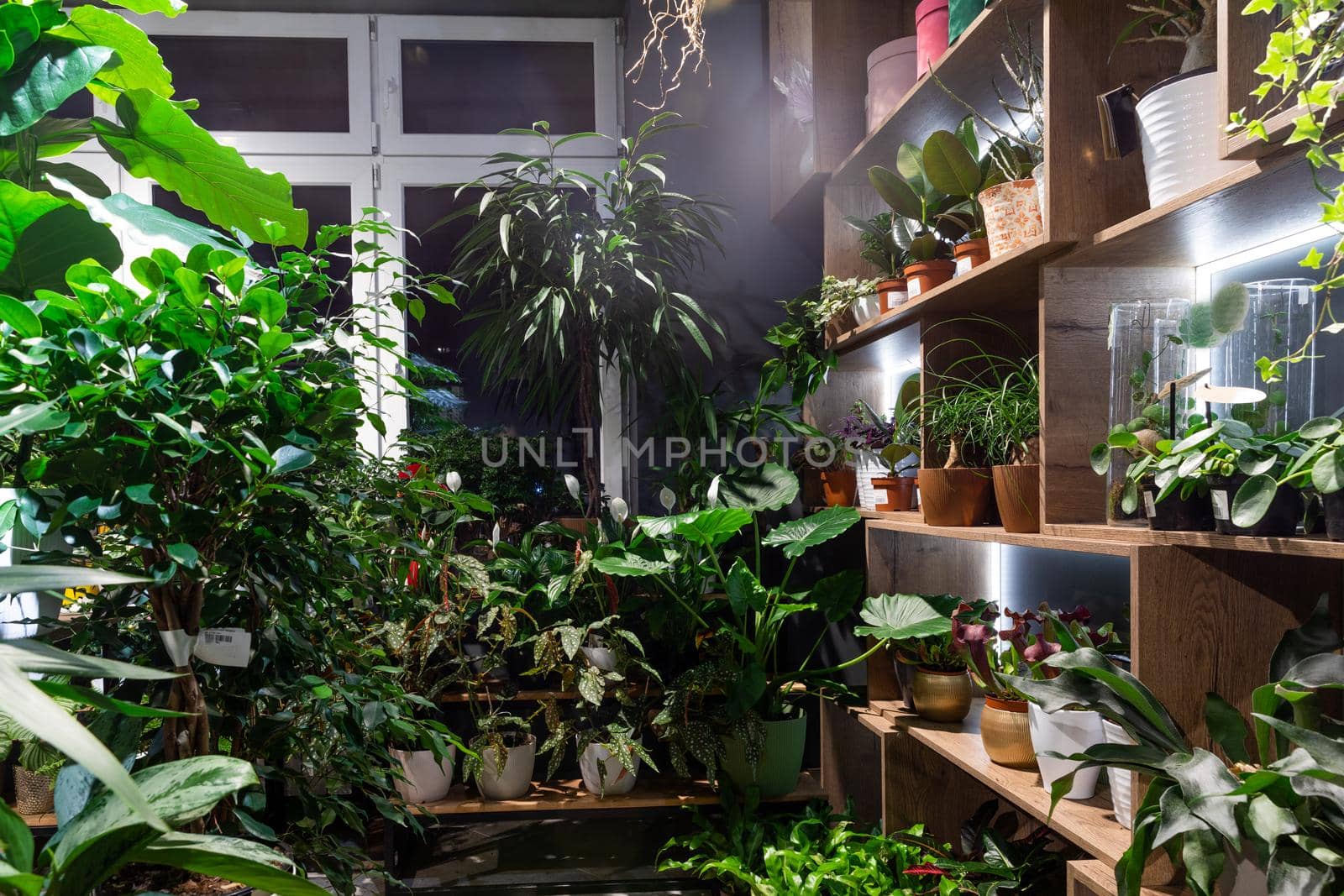 interior of a flower shop selling potted plants of exotic flowers.