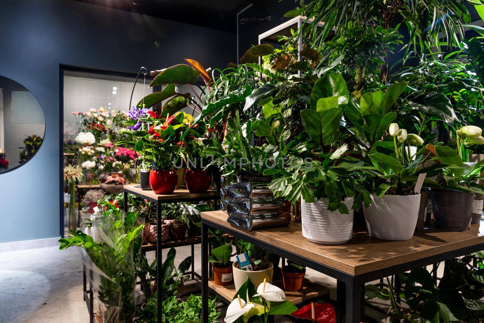 shop window selling flowers and potted plants.