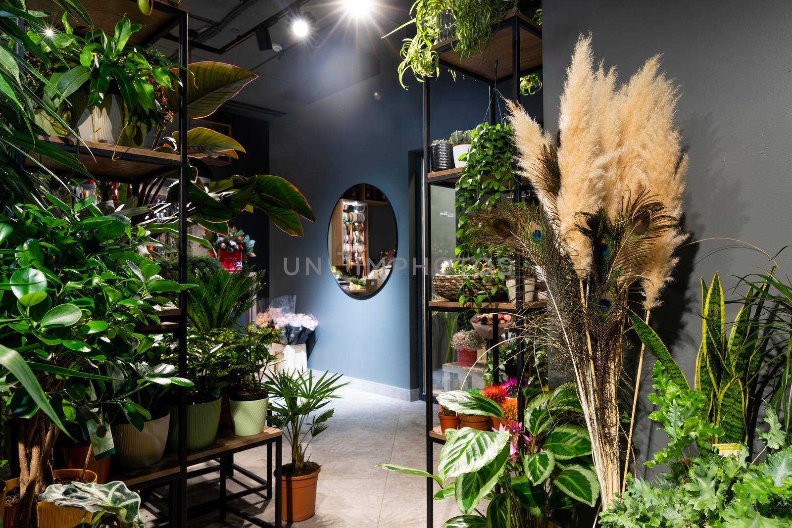expensive premium interior with stylish renovation of exotic potted plants.