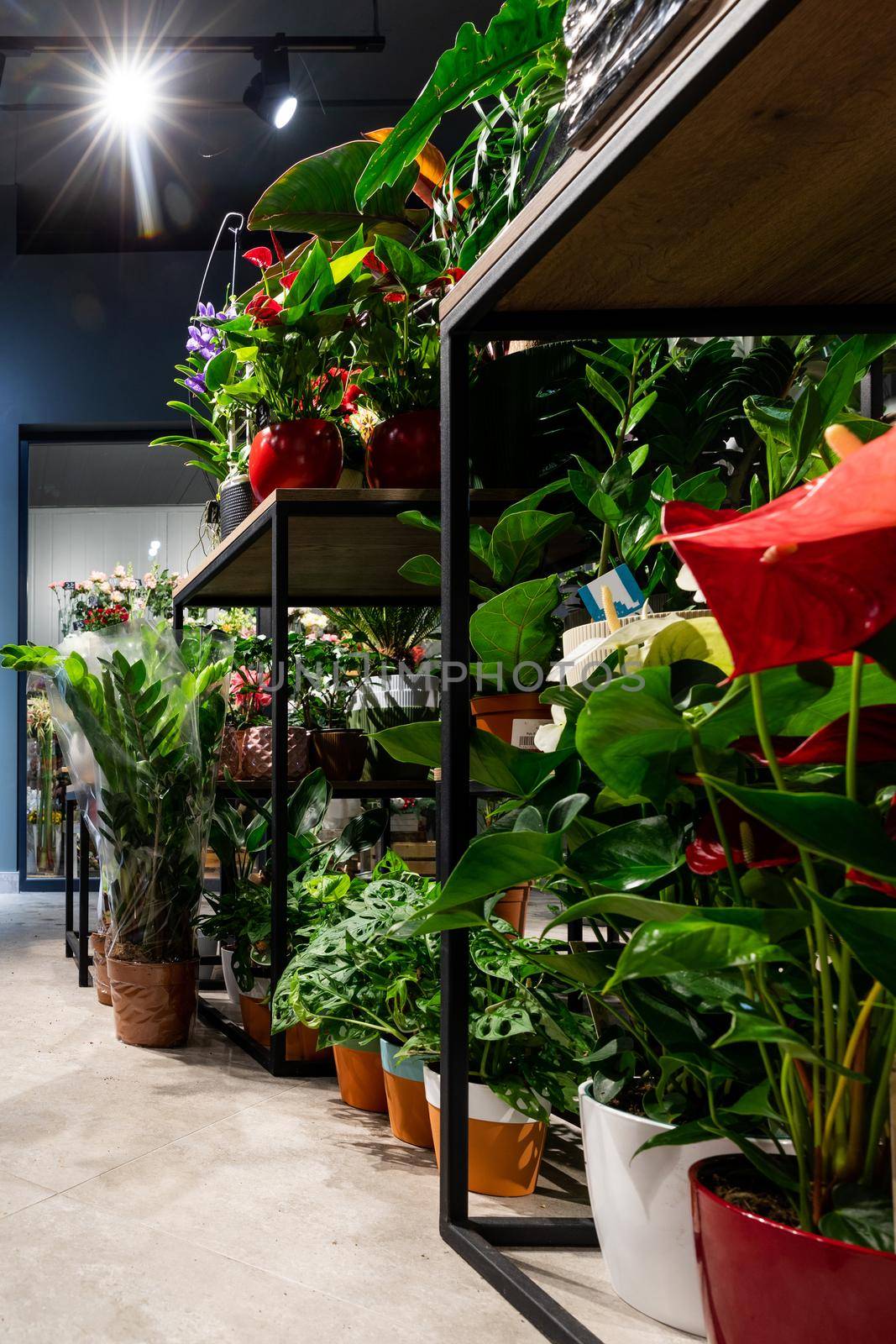 loft style flower shop interior with potted plants by TRMK