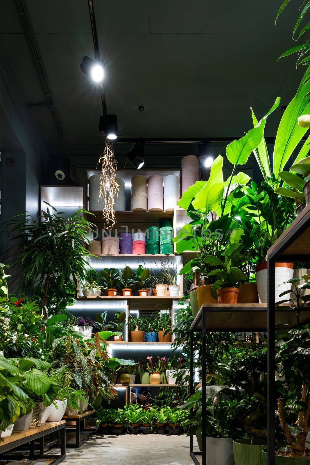 interior of a floristic shop selling potted plants and bouquets in loft style.