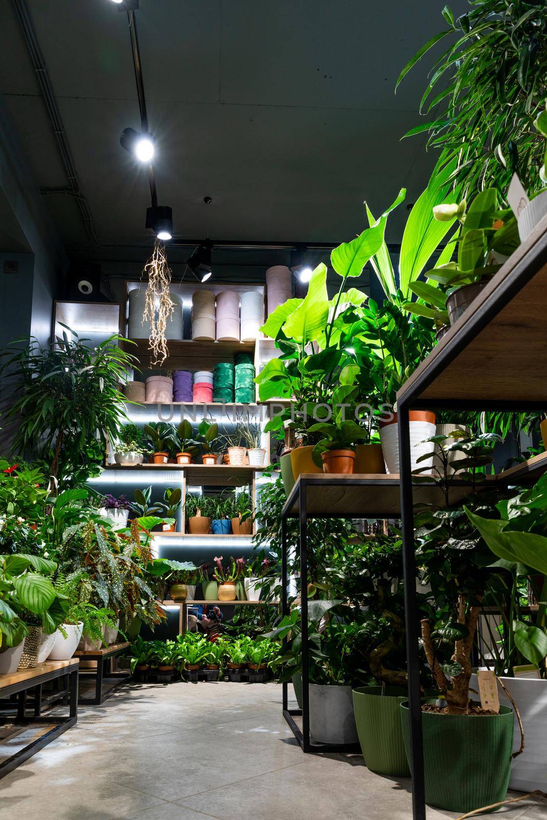 stylish interior in the style of a loft flower shop with potted plants on the shelves by TRMK