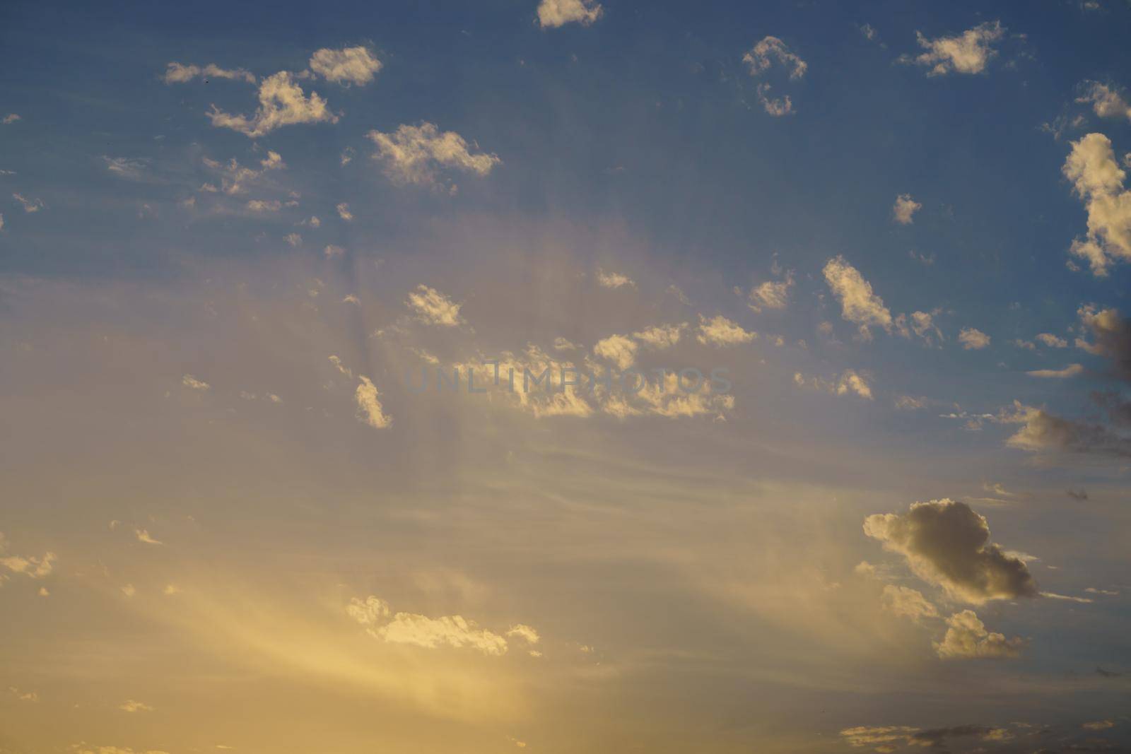 dramatic sky at sunrise with yellow colors with trees at the bottom