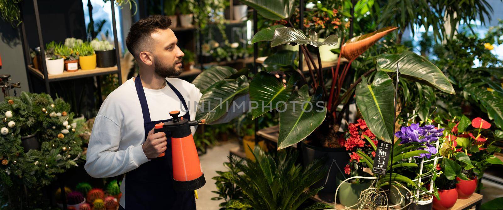 male florist In the garden center takes care of potted plants by spraying them from a spray bottle.