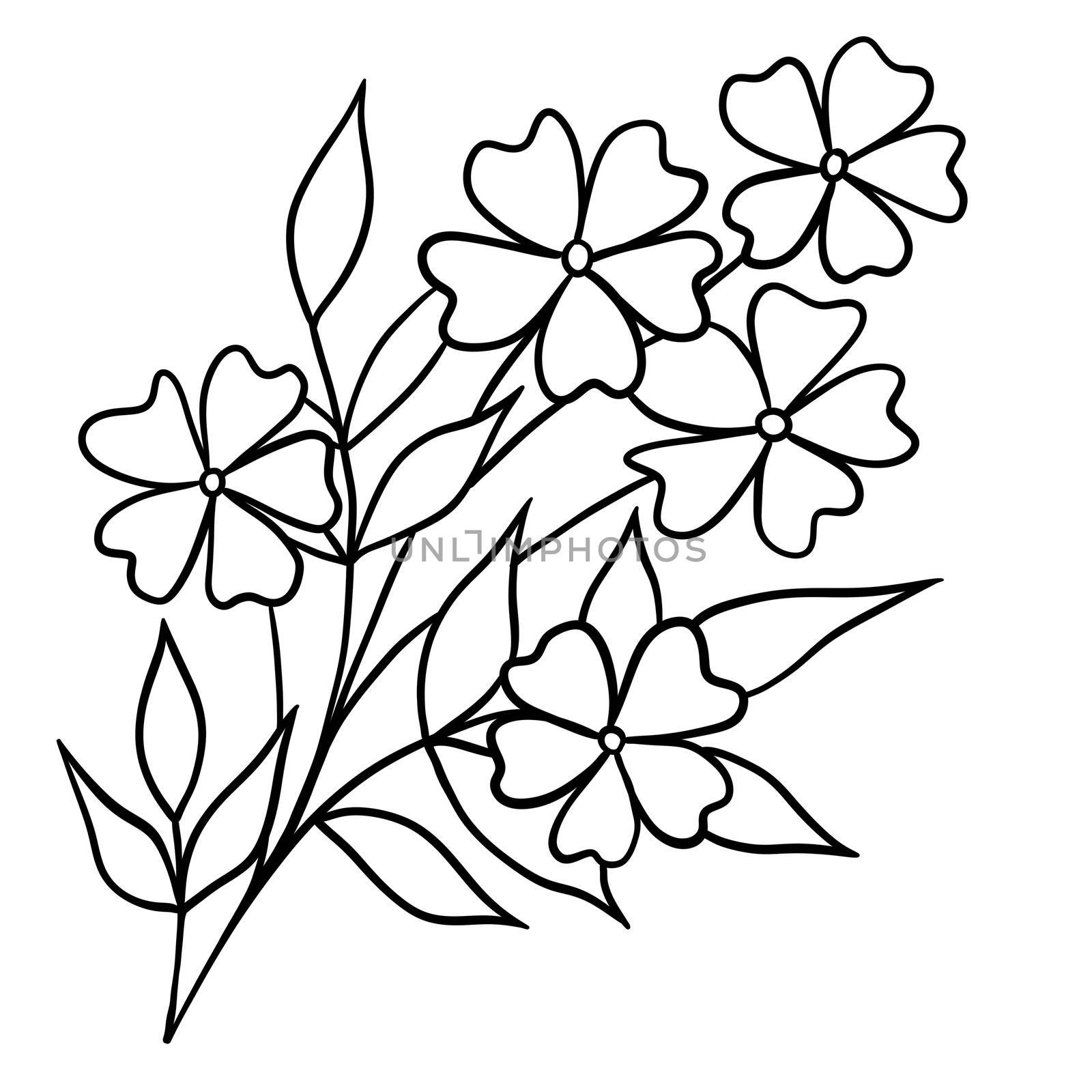 Hand drawn illustration of flowers leaves branch in black line outline. Minimalist floral garden design, bloom for cards invitations, elehant foliage plant nature concept
