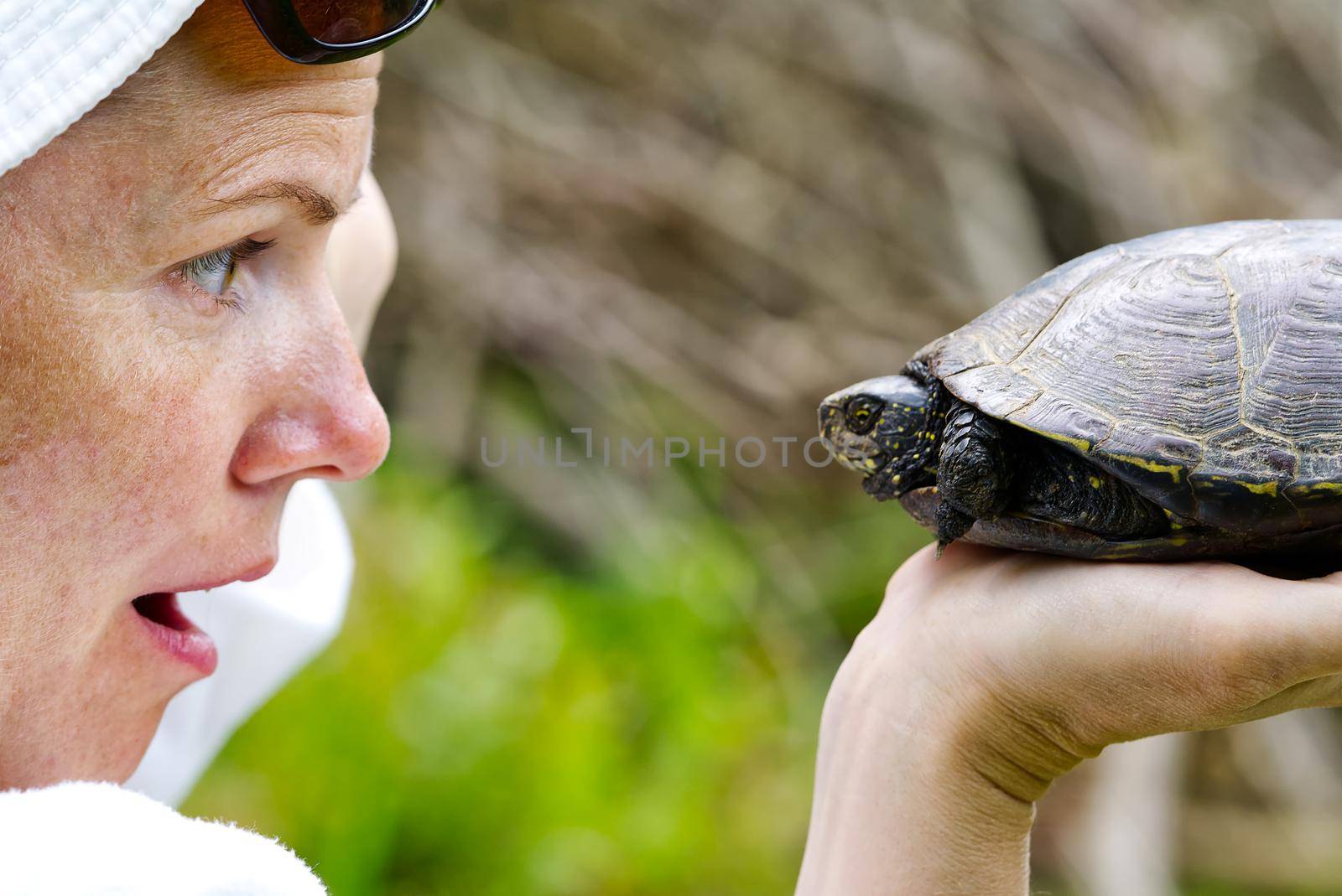 Women hold European turtle, close up portrait. Women at the turtle sanctuary hatchery by PhotoTime