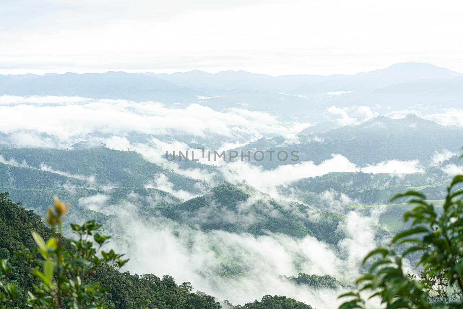 The mist on green mountain at the morning.  Early morning in Thailand mountains.