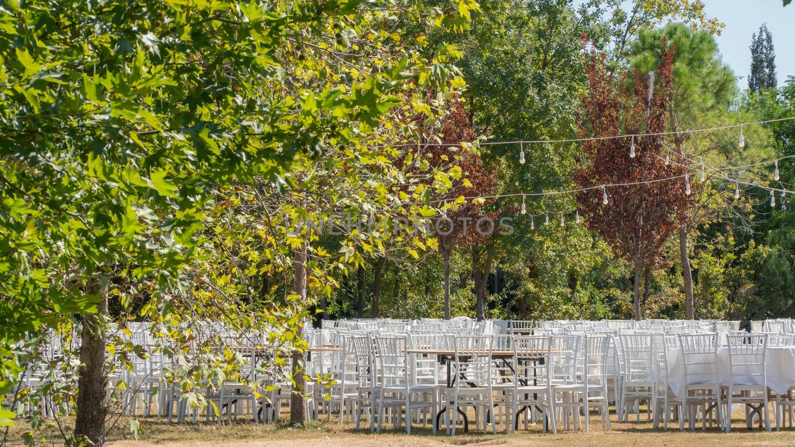 White chairs and tables in the autumn nature among the trees, outdoor event by voktybre