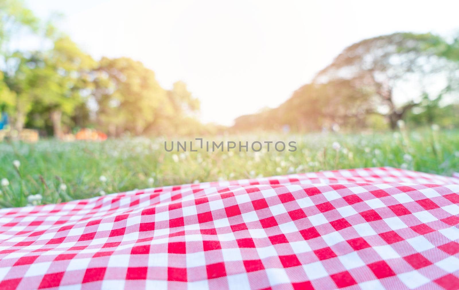 Red checkered tablecloth texture with on green grass at the garden