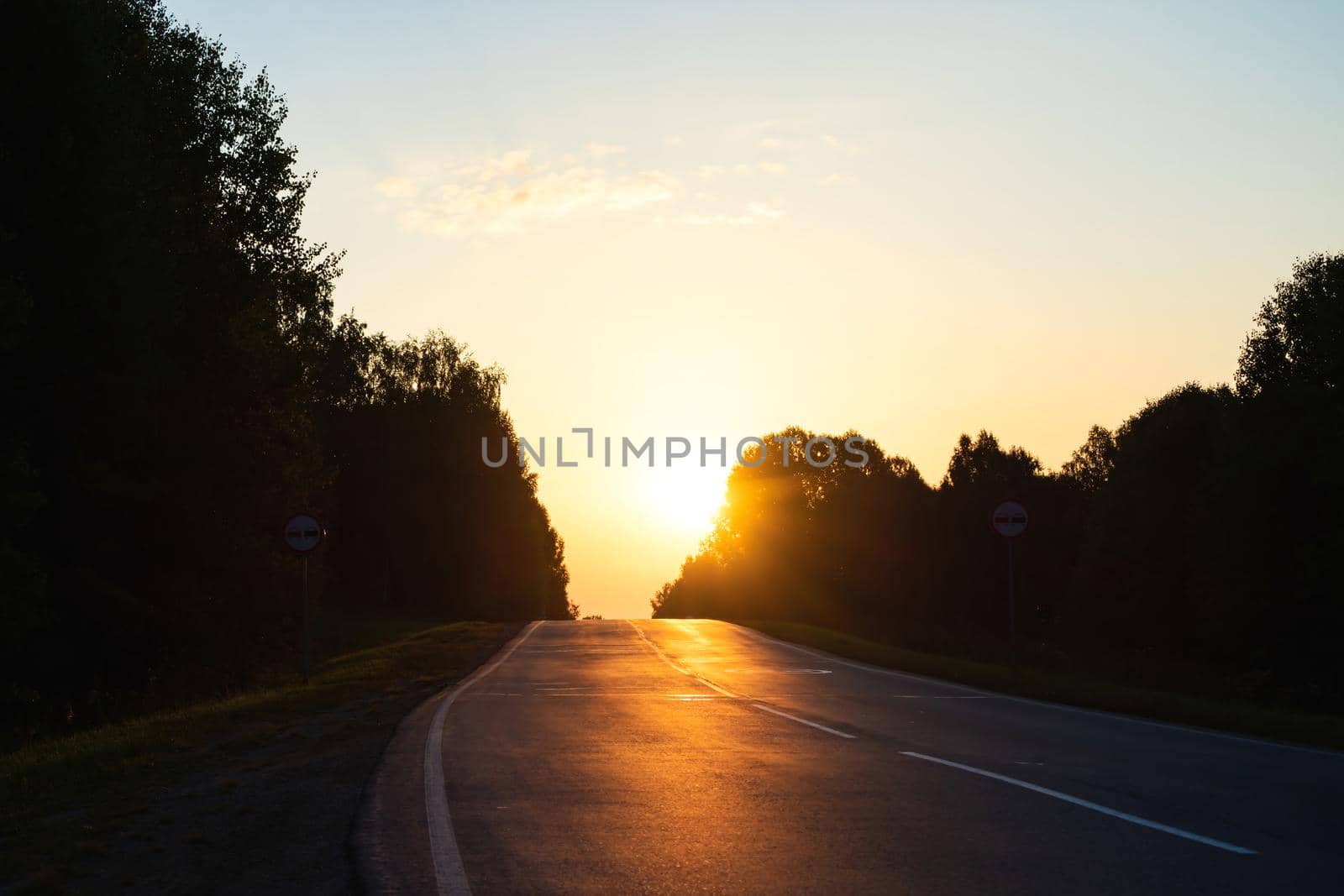 Dawn over an empty road leading into the morning forest