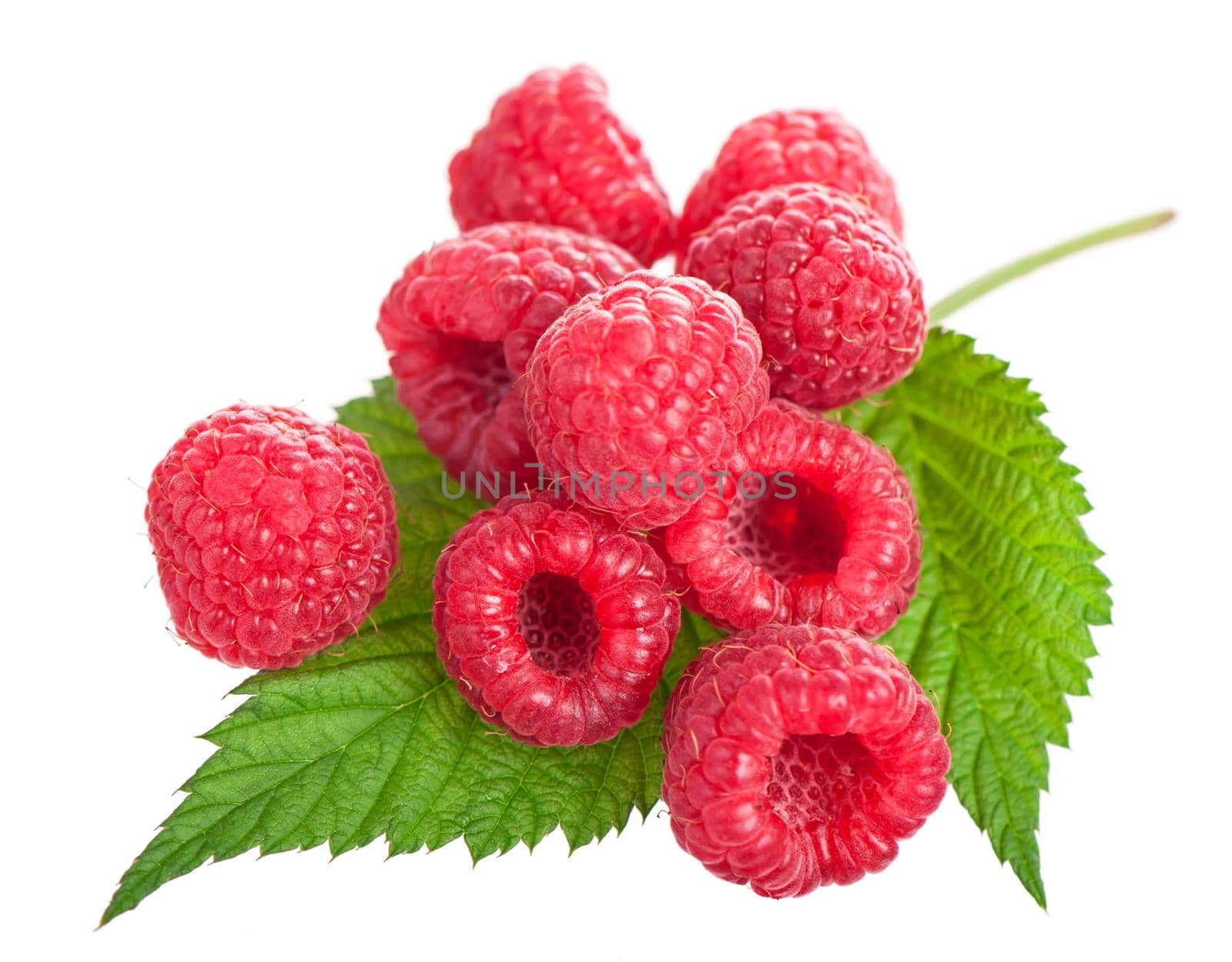 Ripe raspberry with green leaf on white