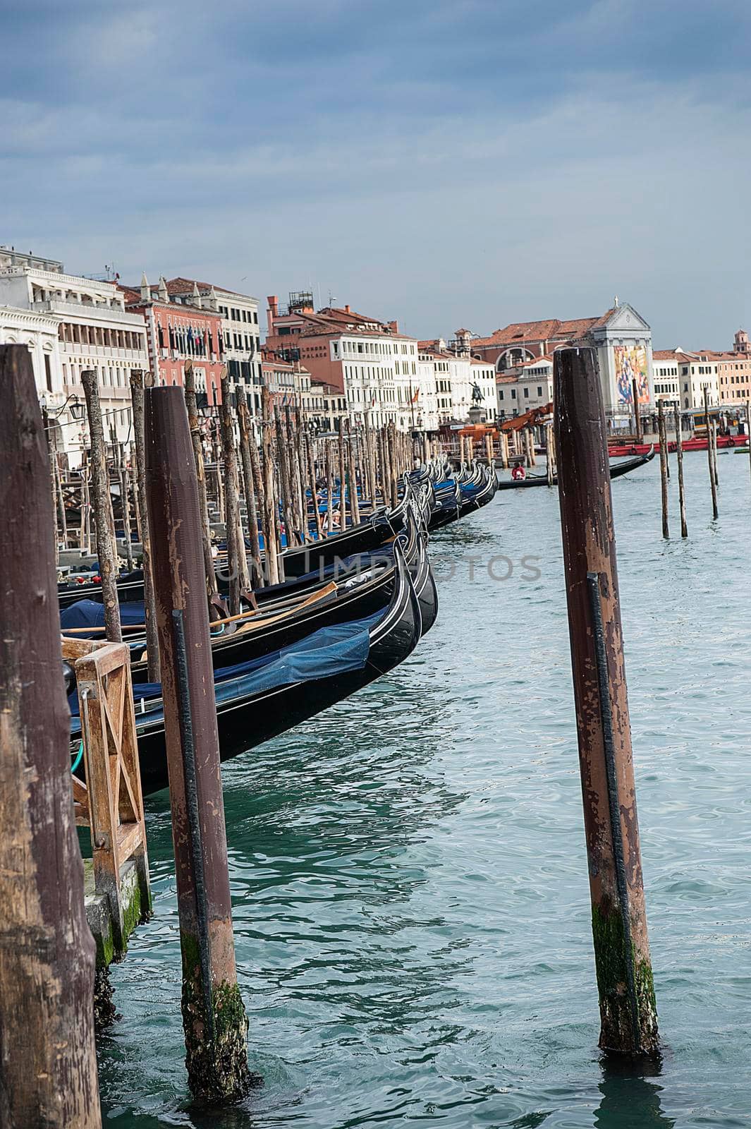Gondolas on the Riva degli Schiavoni in Venice