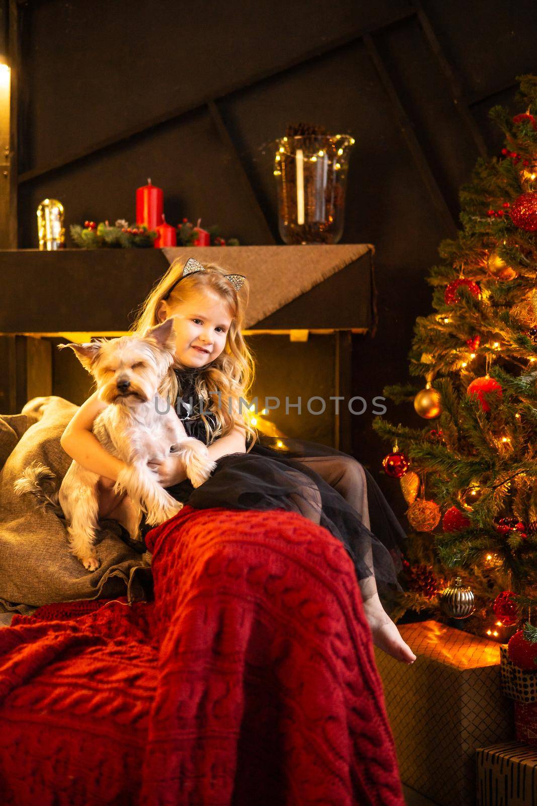 A girl in a festive outfit on the sofa with her dog next to a Christmas tree decorated with garlands, balloons and Christmas toys. The concept of winter holidays is Christmas and New Year holidays. Magical festive atmosphere.