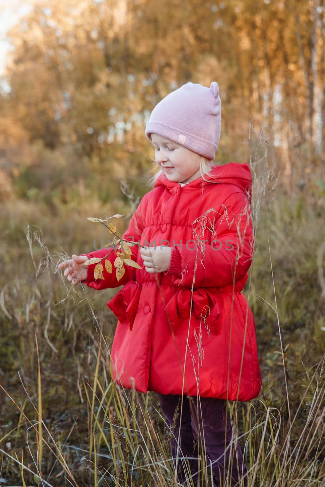 A little girl in a red coat walks in nature in an autumn grove. The season is autumn.