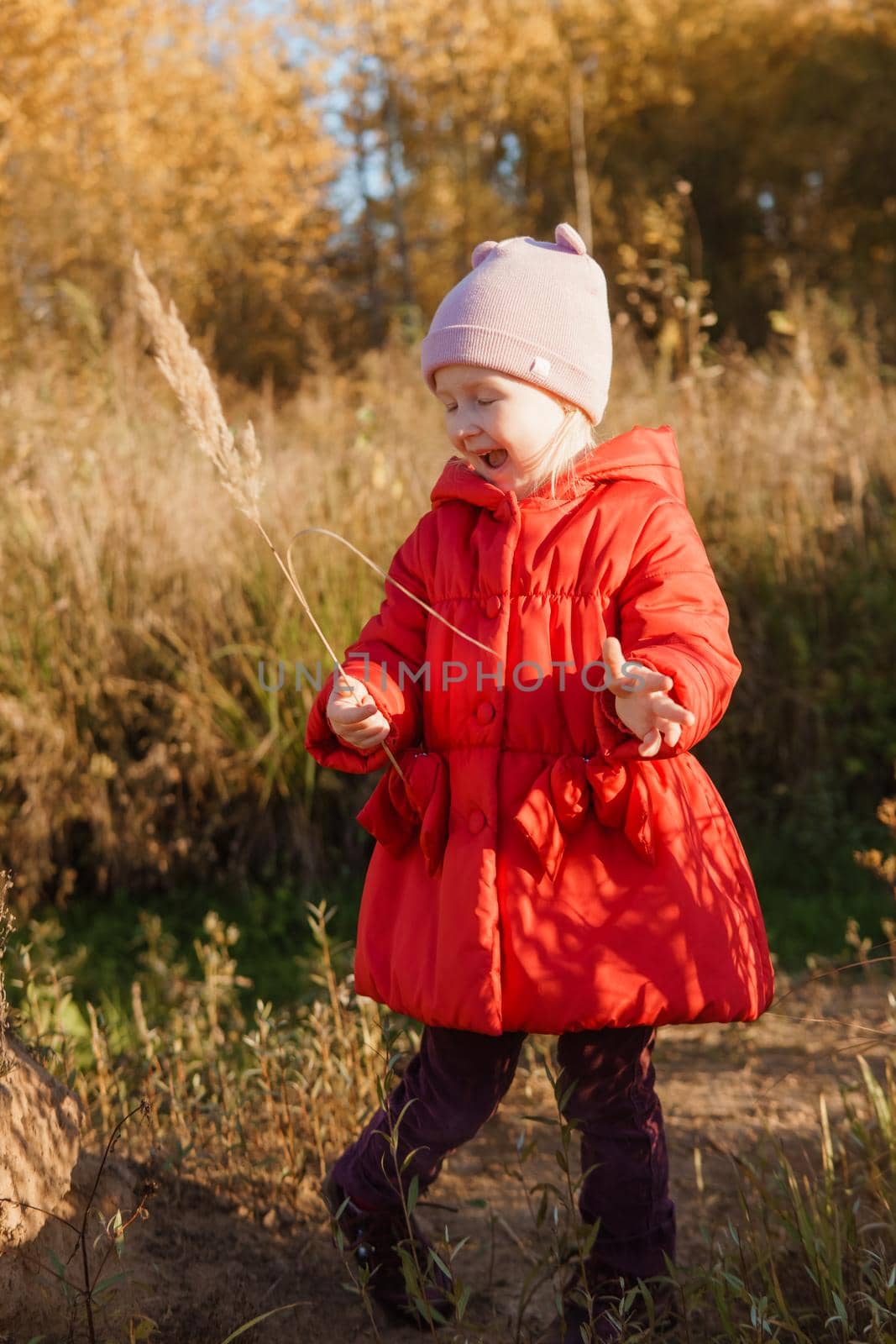 A little girl in a red coat walks in nature in an autumn grove. The season is autumn by Annu1tochka