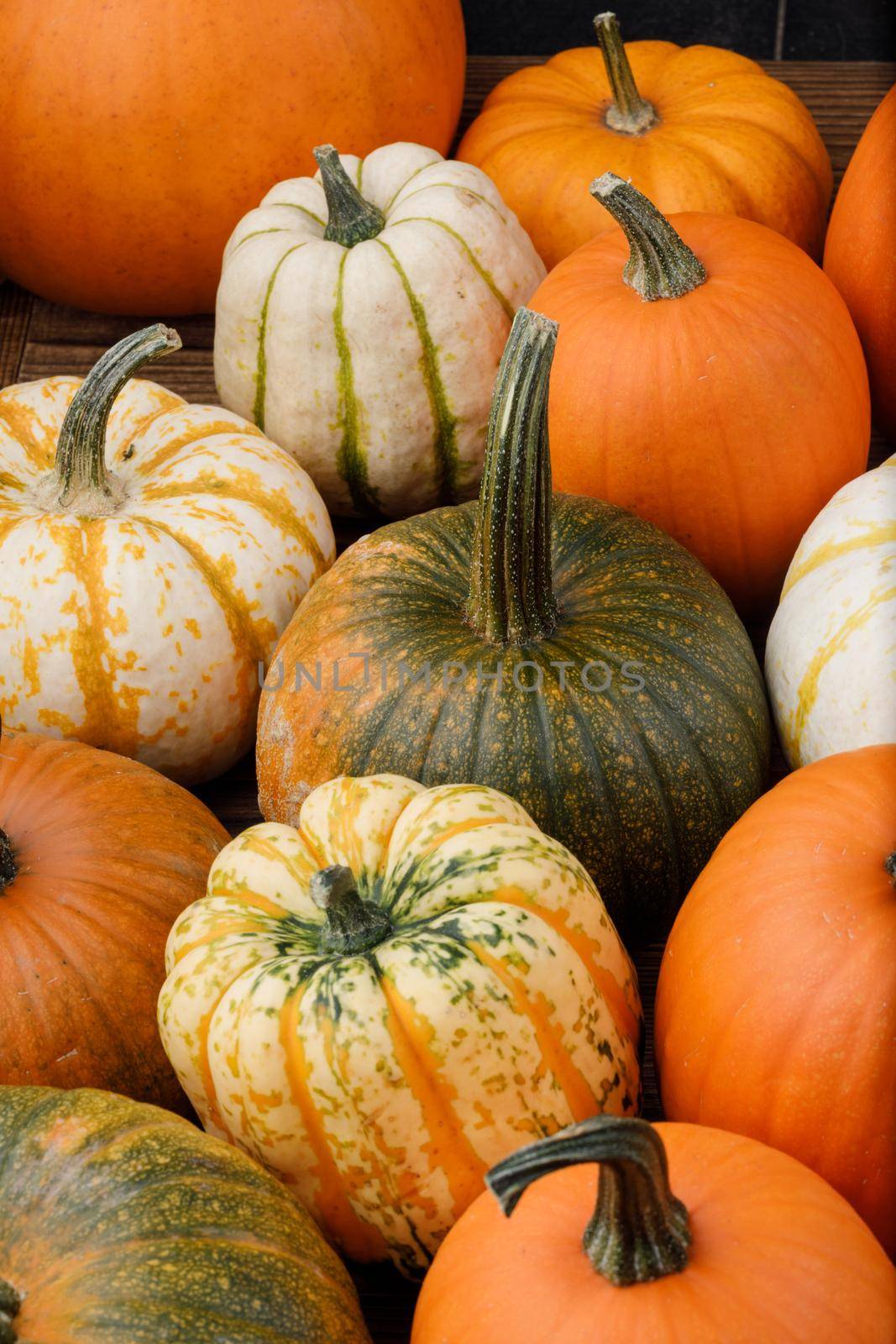 Many various pumpkins background by Yellowj