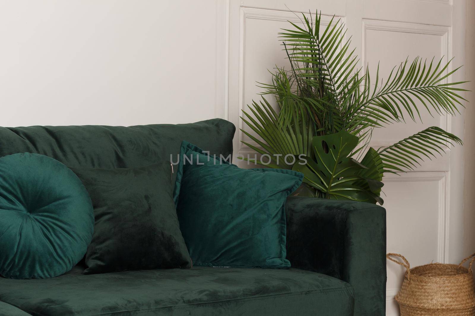 Luxurious green sofa with a plant in the interior by lara29