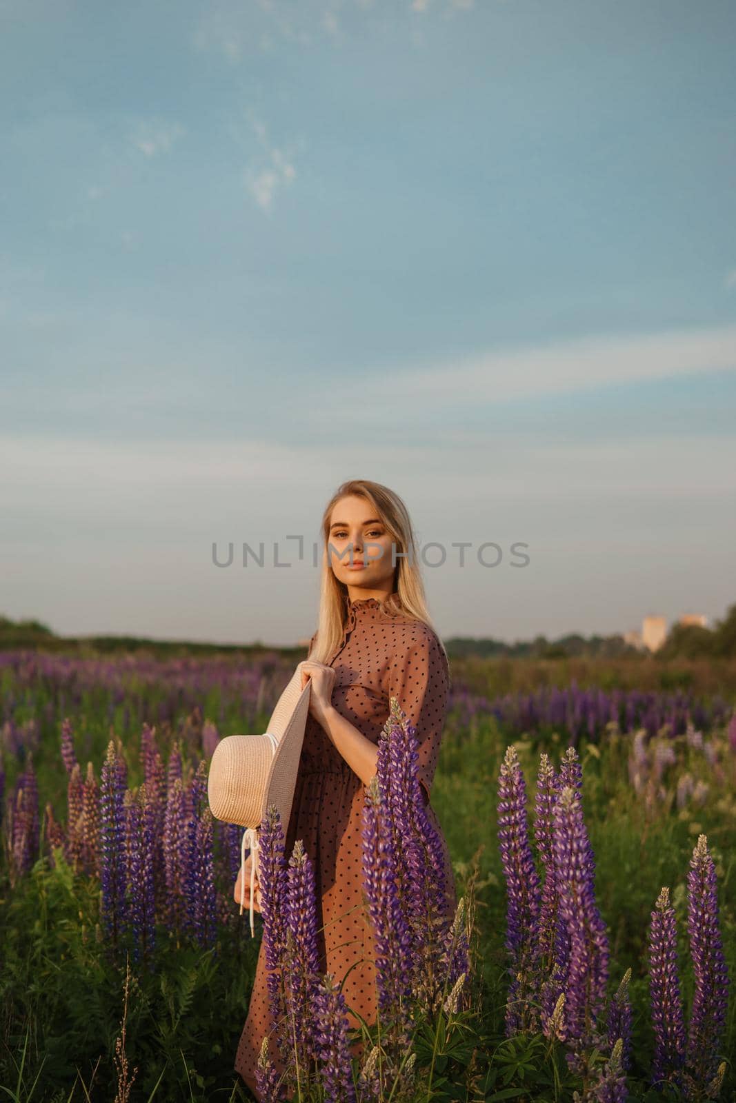 A beautiful woman in a straw hat walks in a field with purple flowers. A walk in nature in the lupin field.