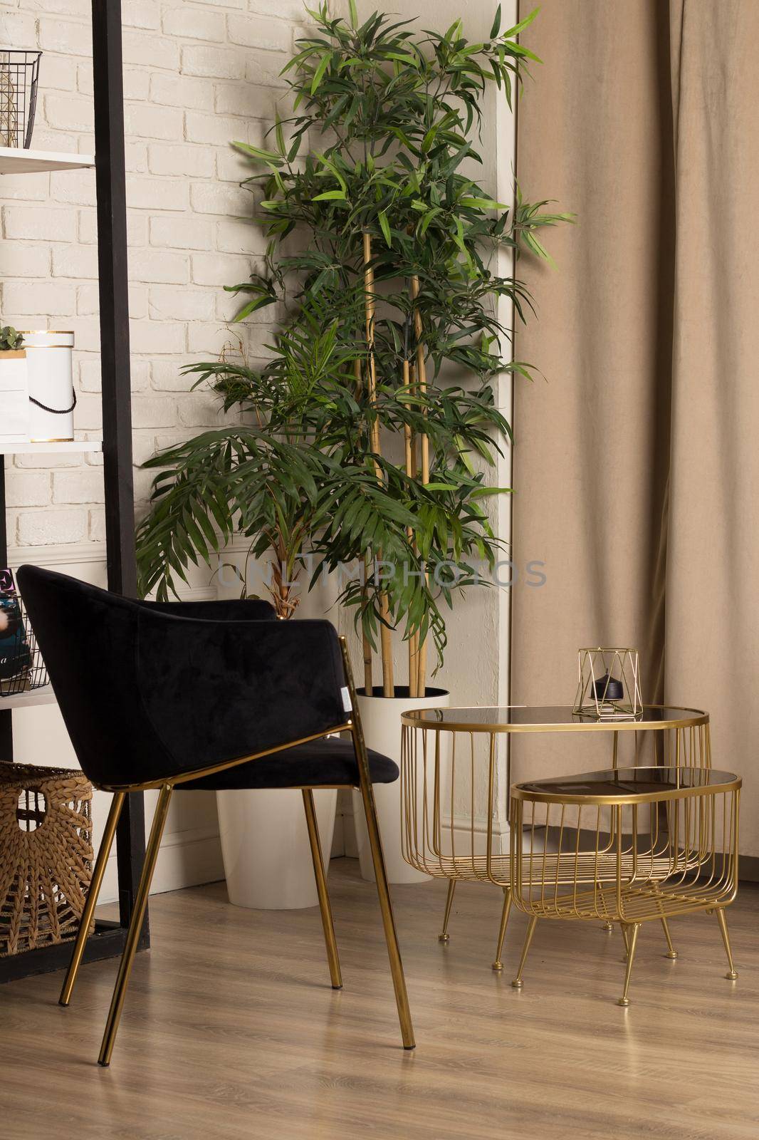 Interior with designer black armchair, plant, table, wall and shelf with accessories in modern home decor.