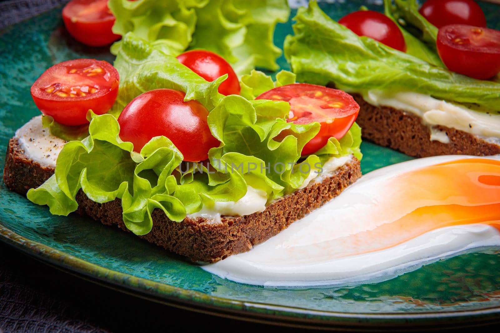 Black bread sandwich with melted cheese salad and tomatoes on a green plate