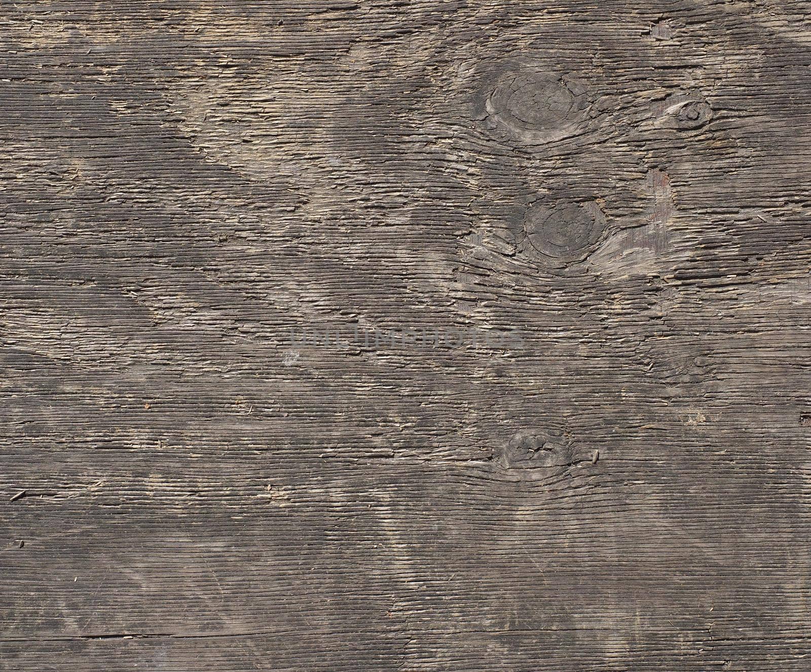 dark brown wood texture background by claudiodivizia