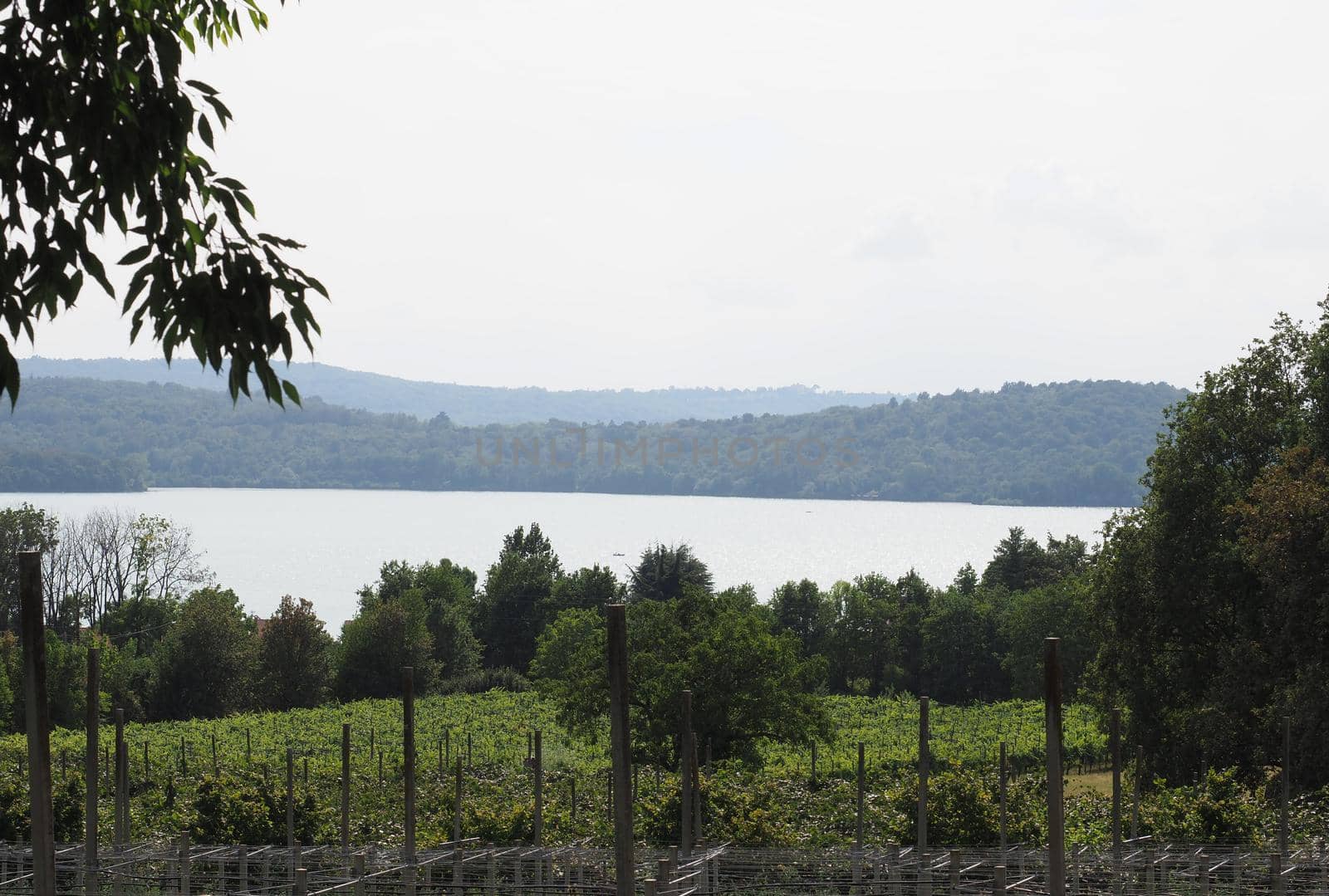 View of Lago di Viverone lake in Piedmont, Italy