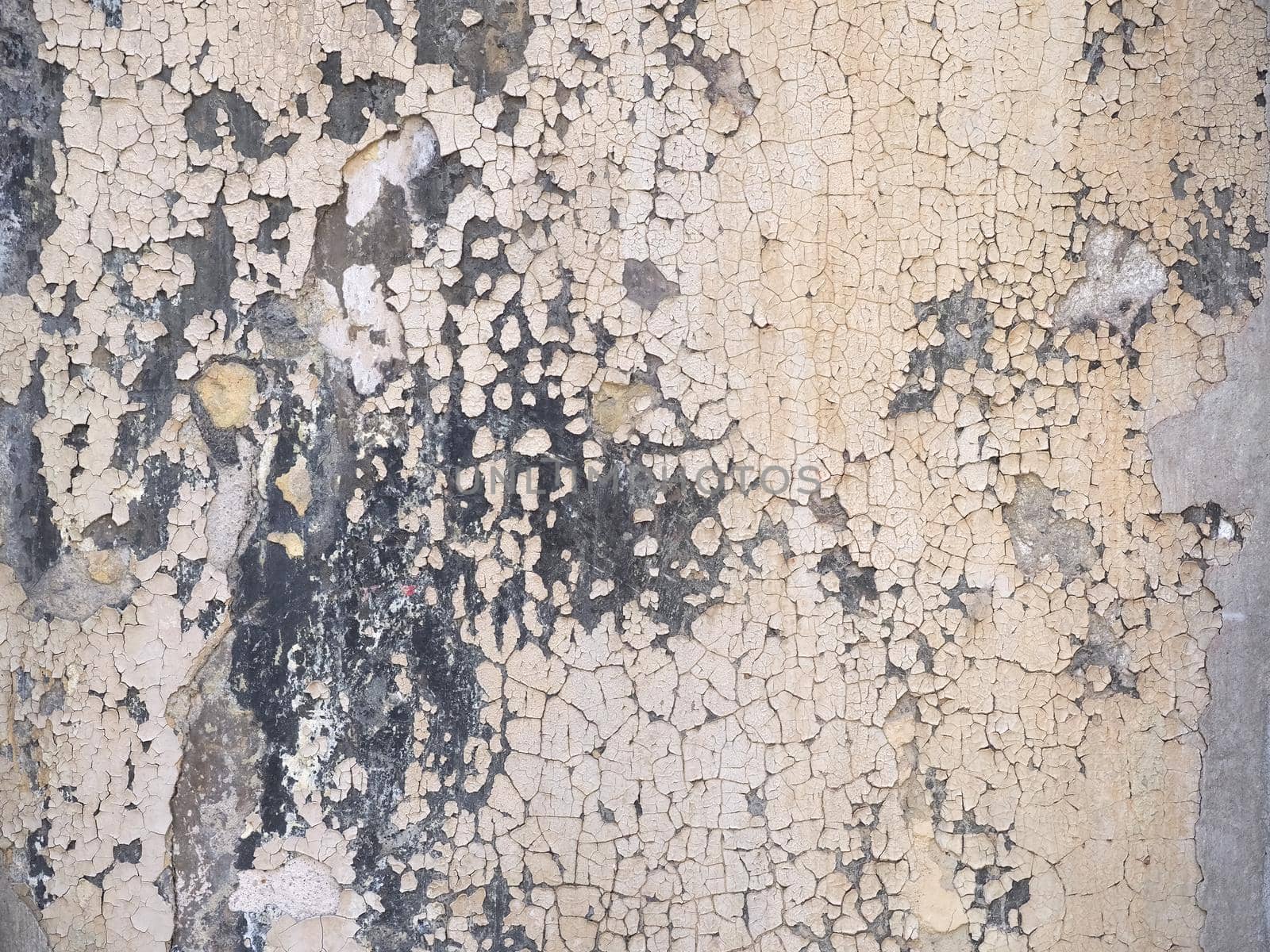 damage caused by dampness and moisture on a wall