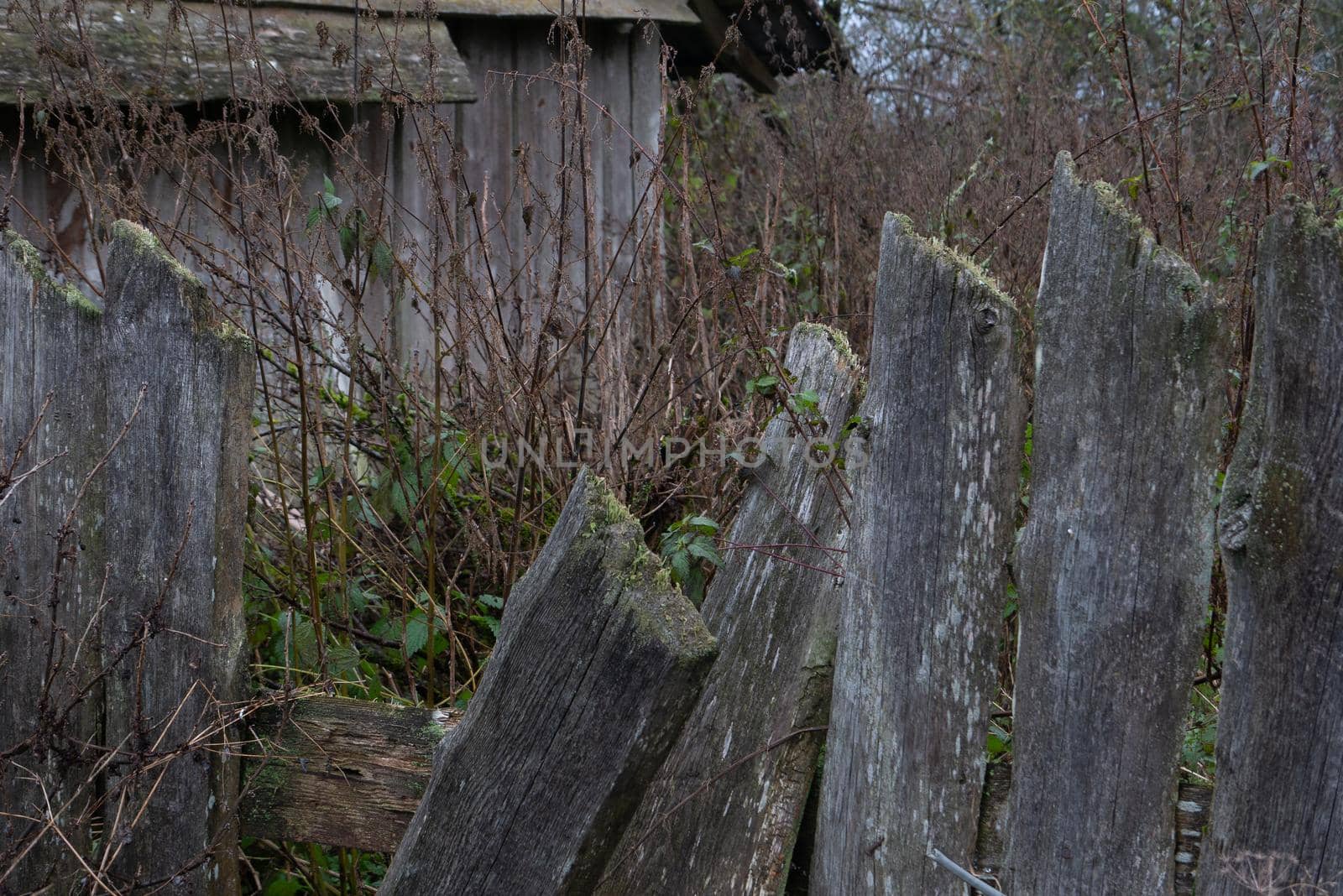 Broken fence against the background of high grass and an old barn. Old faulty fence. Sloping rotten boards of an old fence in the village.