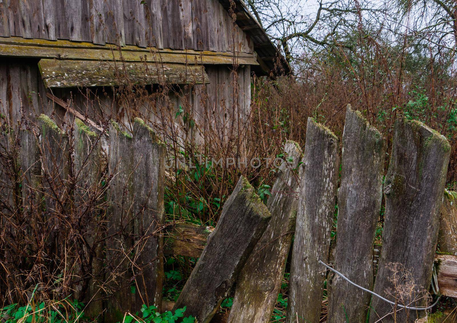 Broken fence in the yard of an old house. by gelog67