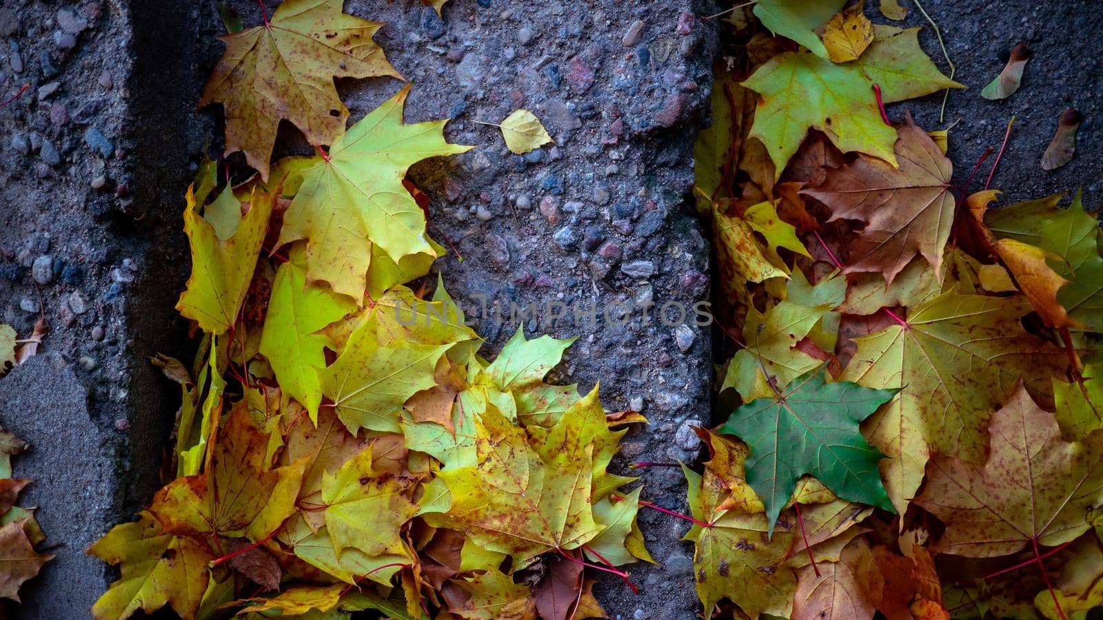 Background of stairs and fallen autumn leaves. Yellow and orange leaves on concrete steps. autumn leaves on the steps of the stairs