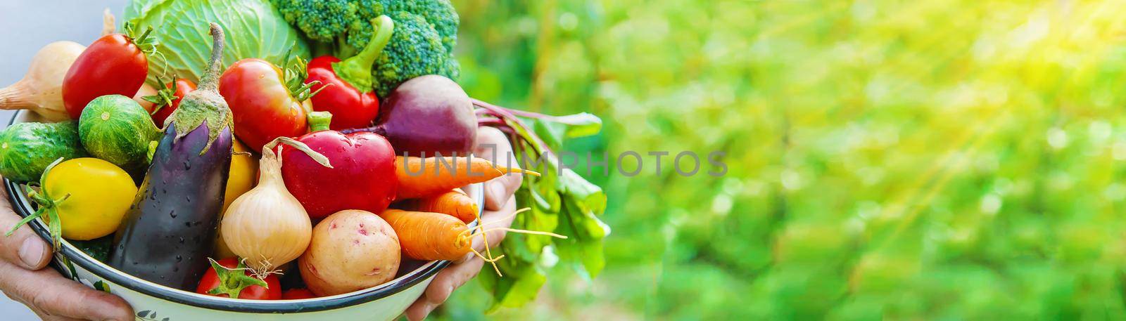 Man farmer with homemade vegetables in his hands. Selective focus. nature.