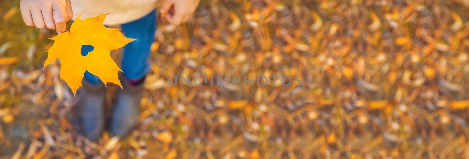 Children in the park with autumn leaves. Selective focus. by yanadjana