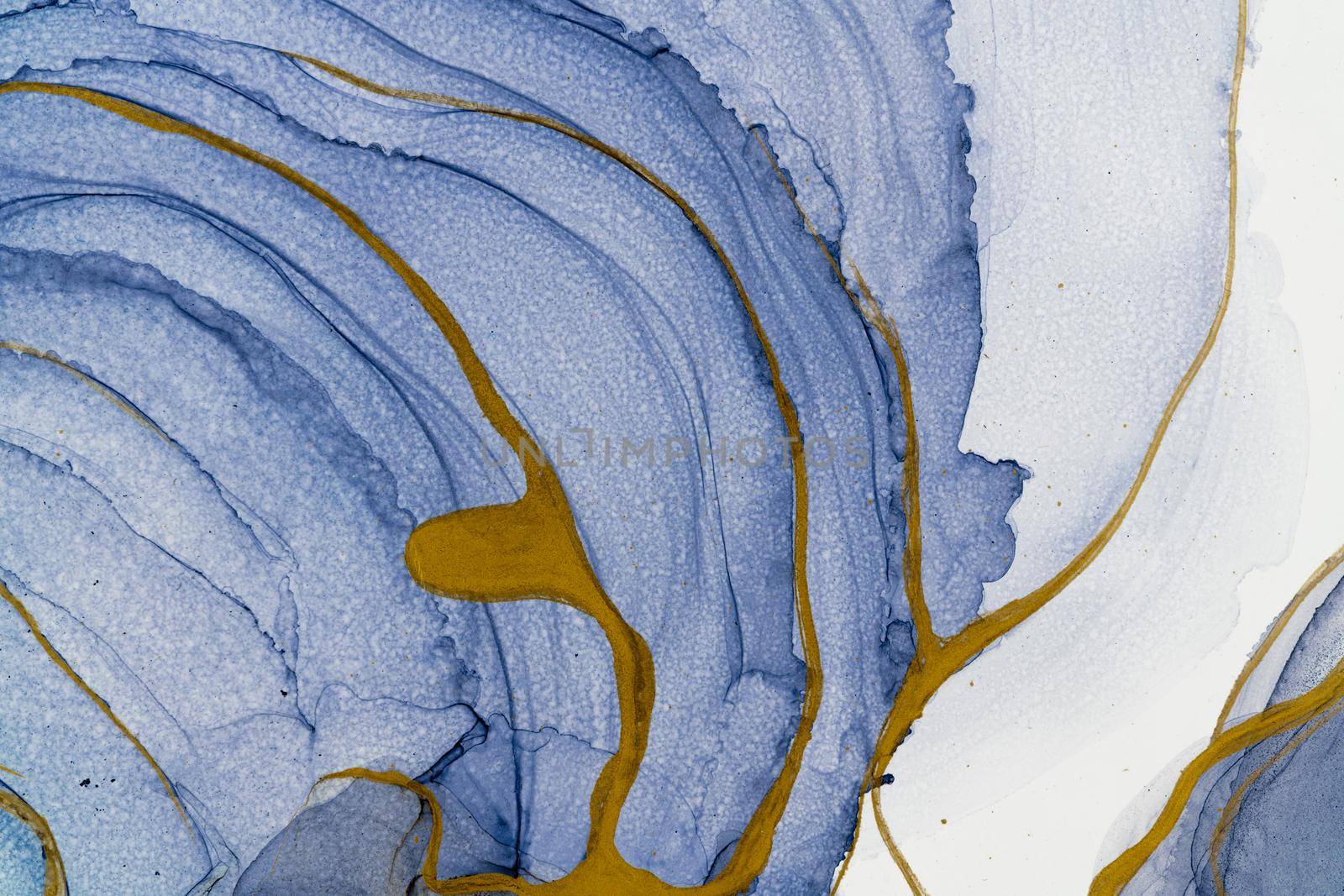 Marble ink abstract art from meticulous original painting abstract background . Painting was painted on high quality paper texture to create smooth marble background pattern of ombre alcohol ink .