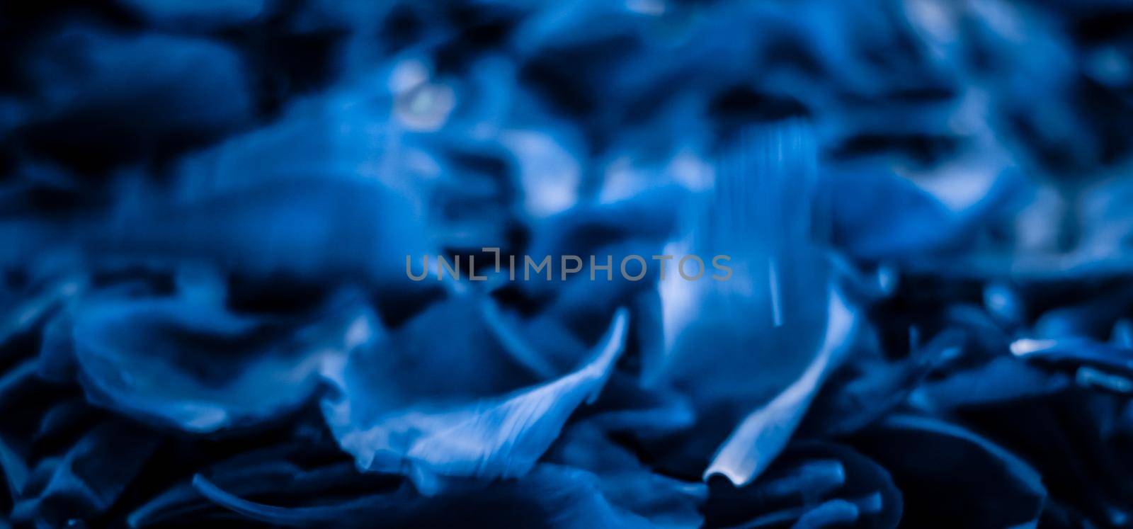 Branding, blossom and botanical concept - Abstract floral holiday art background, blue blooming flower petals in dream garden and beauty in nature for luxury spa brand and wedding invitation design