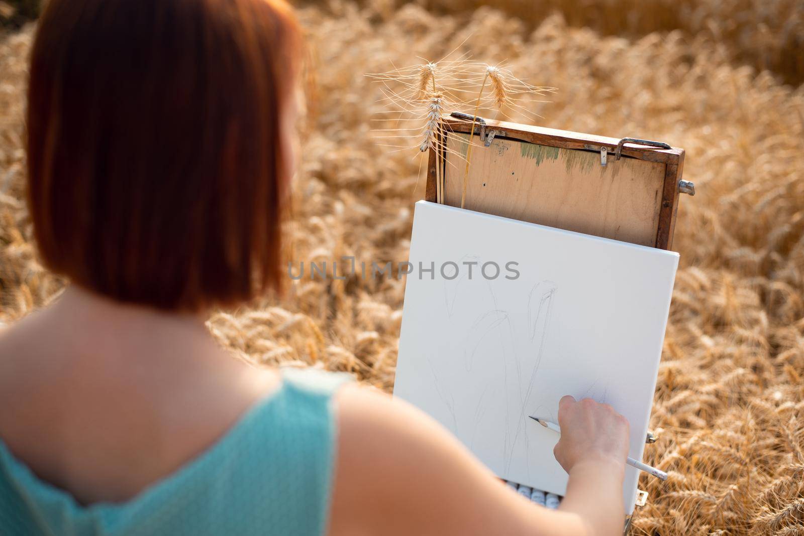 Back shot of a girl painter starting drawing a picture on a white canvas in the field of ripe grain