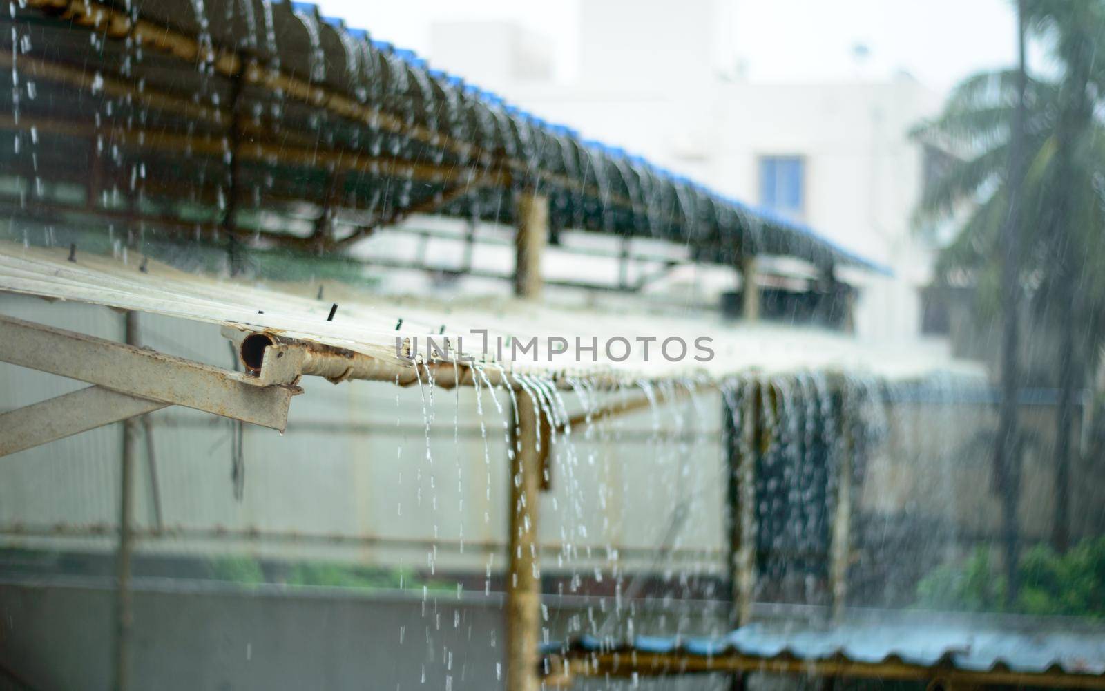 Rain on a Tin Roof. Rain Falling from the Roof. Rainy day nature background. Selective Focus on Foreground by sudiptabhowmick